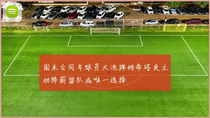 国米合同年球员大洗牌姆希塔良主动降薪留队成唯一选择